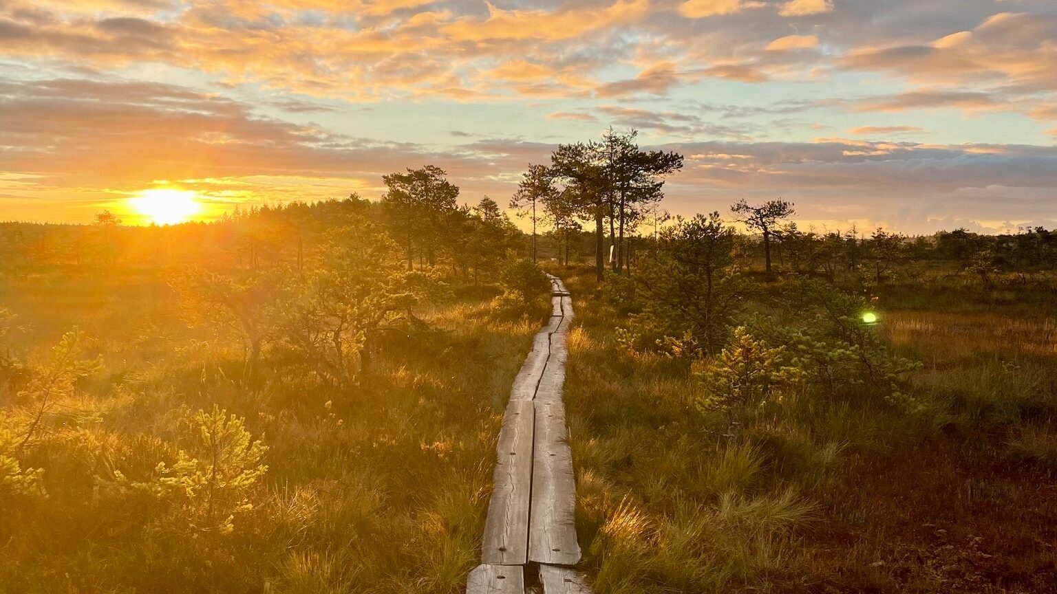 Retkipiste, Valkmusan kansallispuisto, kesä
